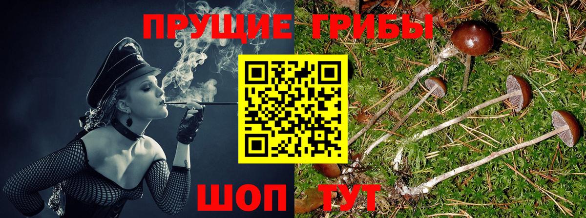 Острогожск  Псилоцибиновые грибы Psilocybe  купить наркотики цена  Псилоцибиновые грибы мухоморы  Вход с VPN 